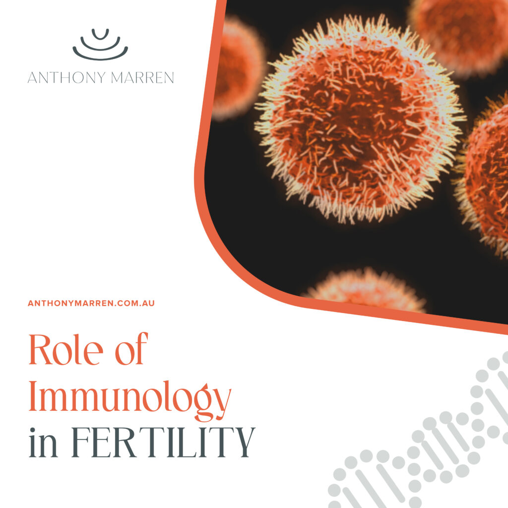 Role of Immunology in Fertility by Dr Anthony Marren Fertility Specialist Sydney